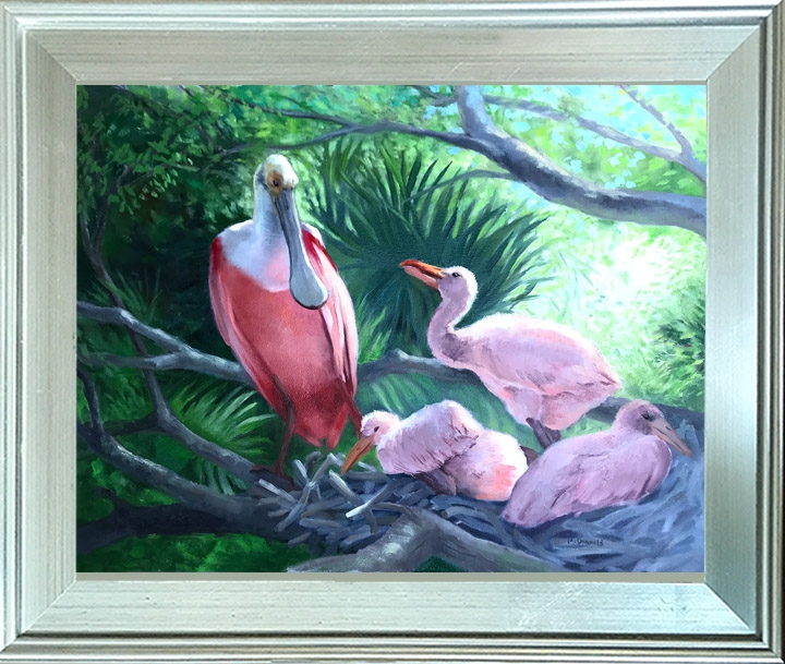 Roseated Spoonbills  (Where's Mom) by Rebecca McDannold