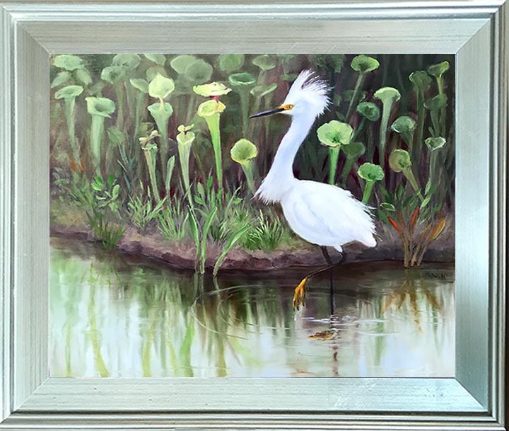 Snowy Egret Strut by Rebecca McDannold