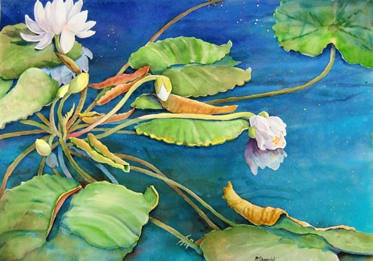 Water Lilies #7 by Rebecca McDannold