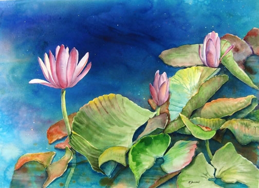 Water Lilies #6 Pink Blooms by Rebecca McDannold