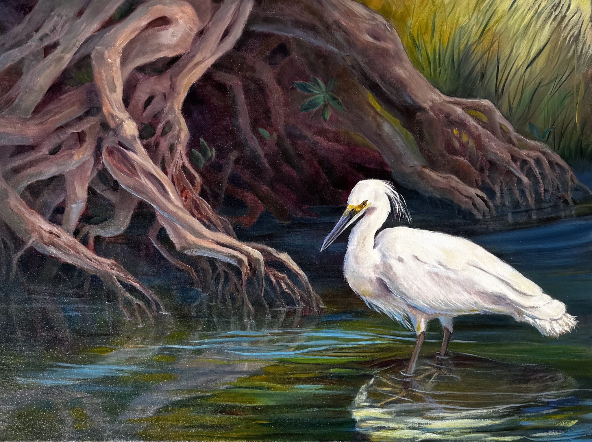 Click here to view River Roots by Rebecca McDannold