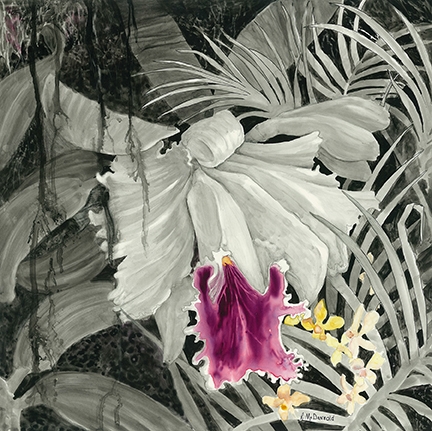 Orchid by Rebecca McDannold